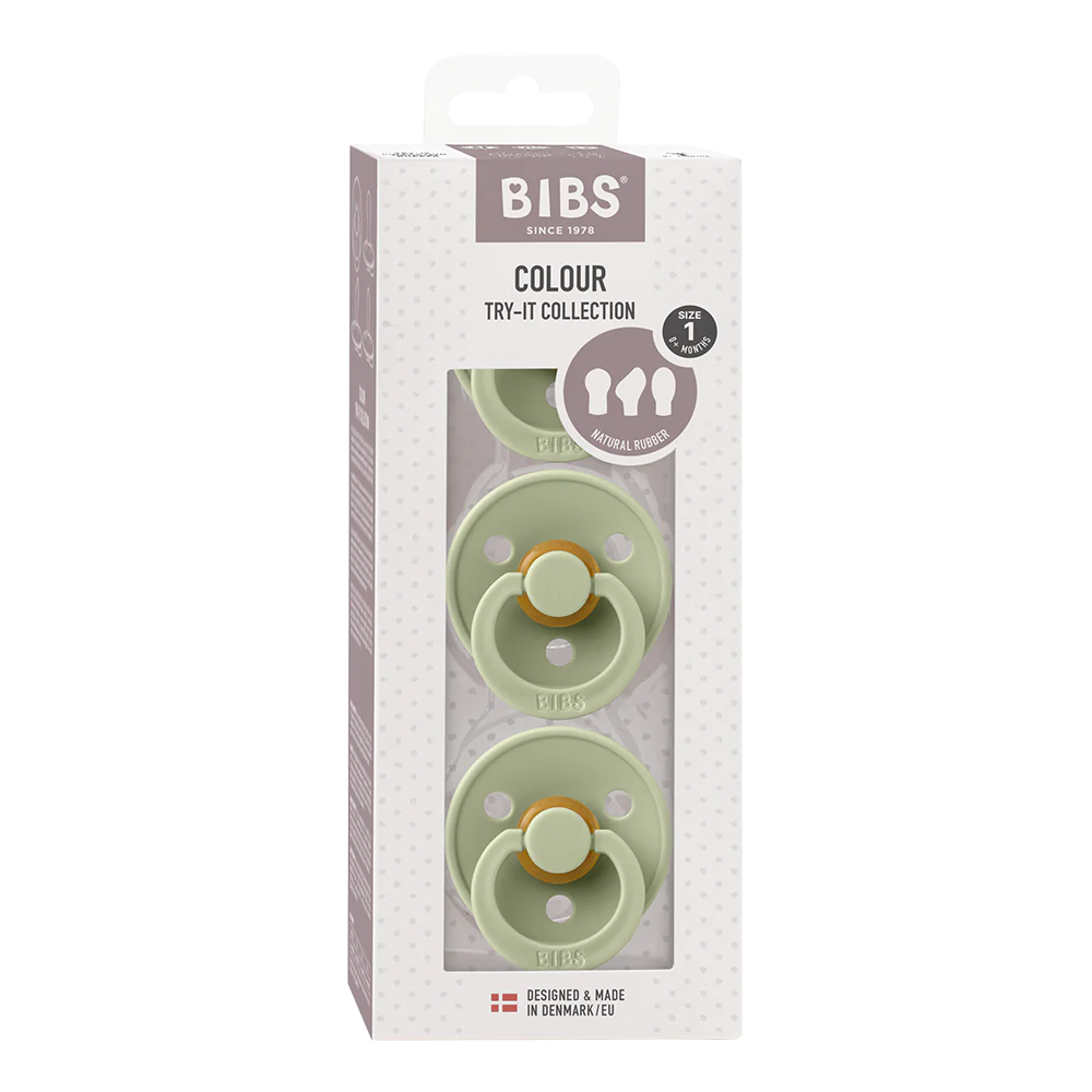 BIBS Green Pacifier