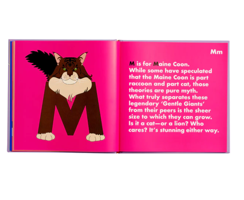 Cat Alphabet Book Kids Book