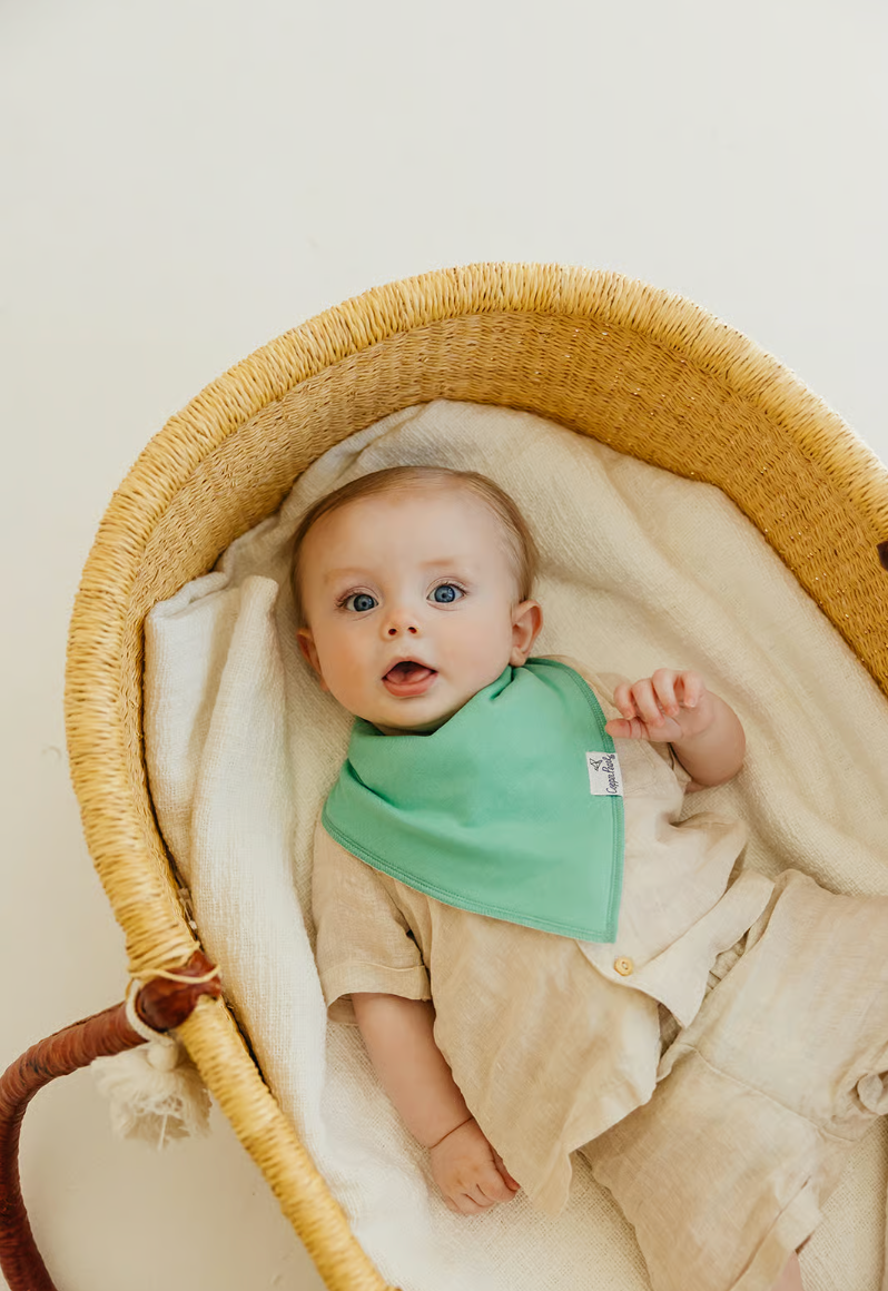 bandana bibs set