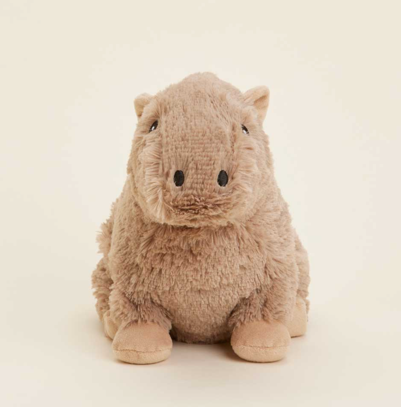 capybara warmies