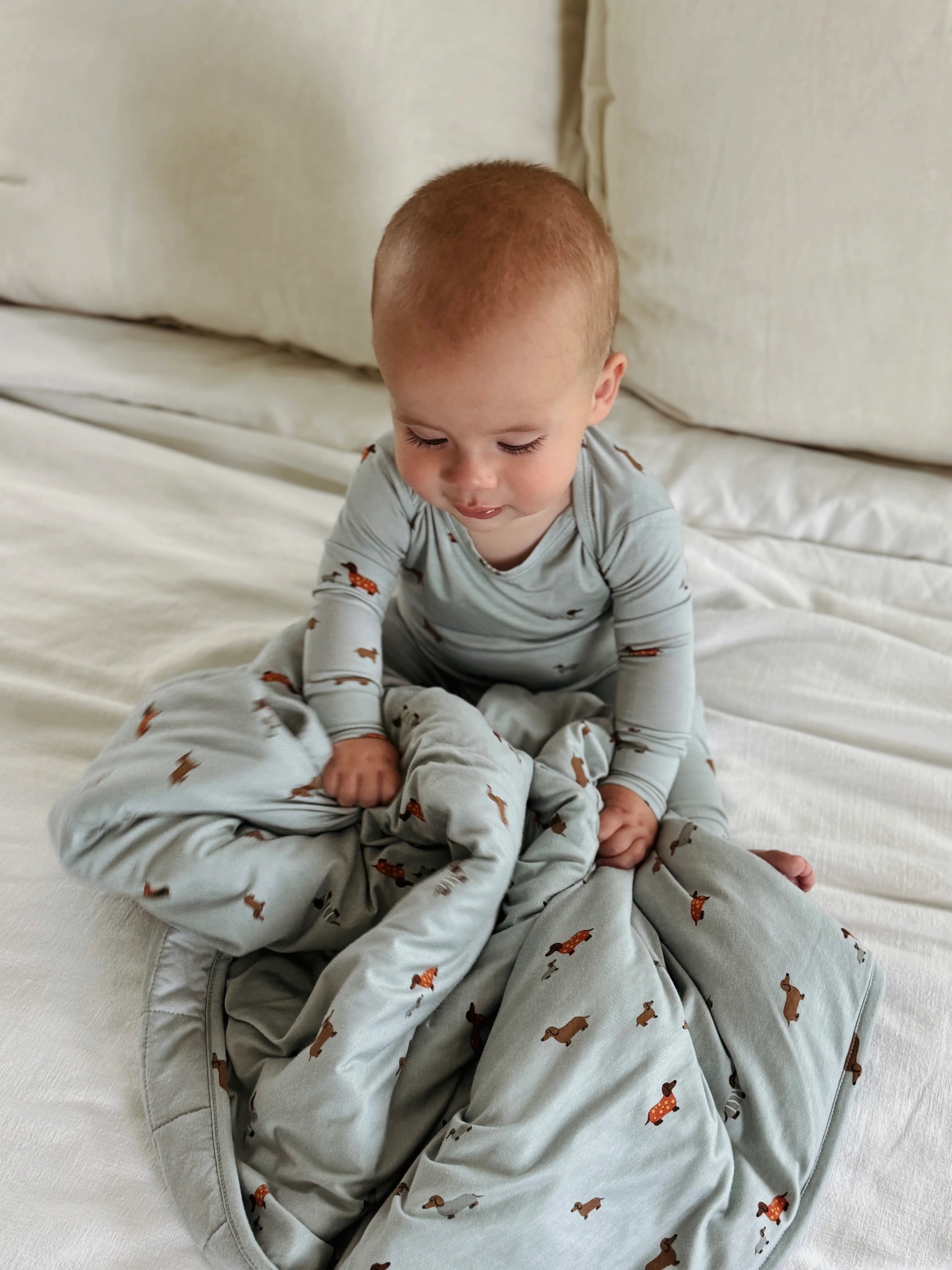 Gunumuna cloud comforter light blue blanket with a Weiner dog pattern.