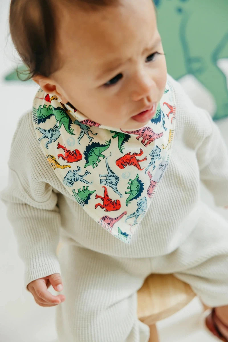 bandana bib with colorful dinosaurs