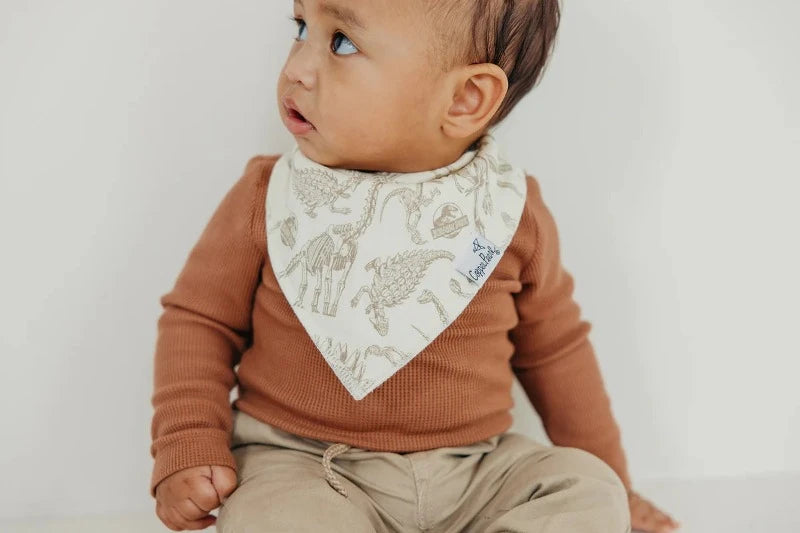 bandana bib with dinosaur fossil print