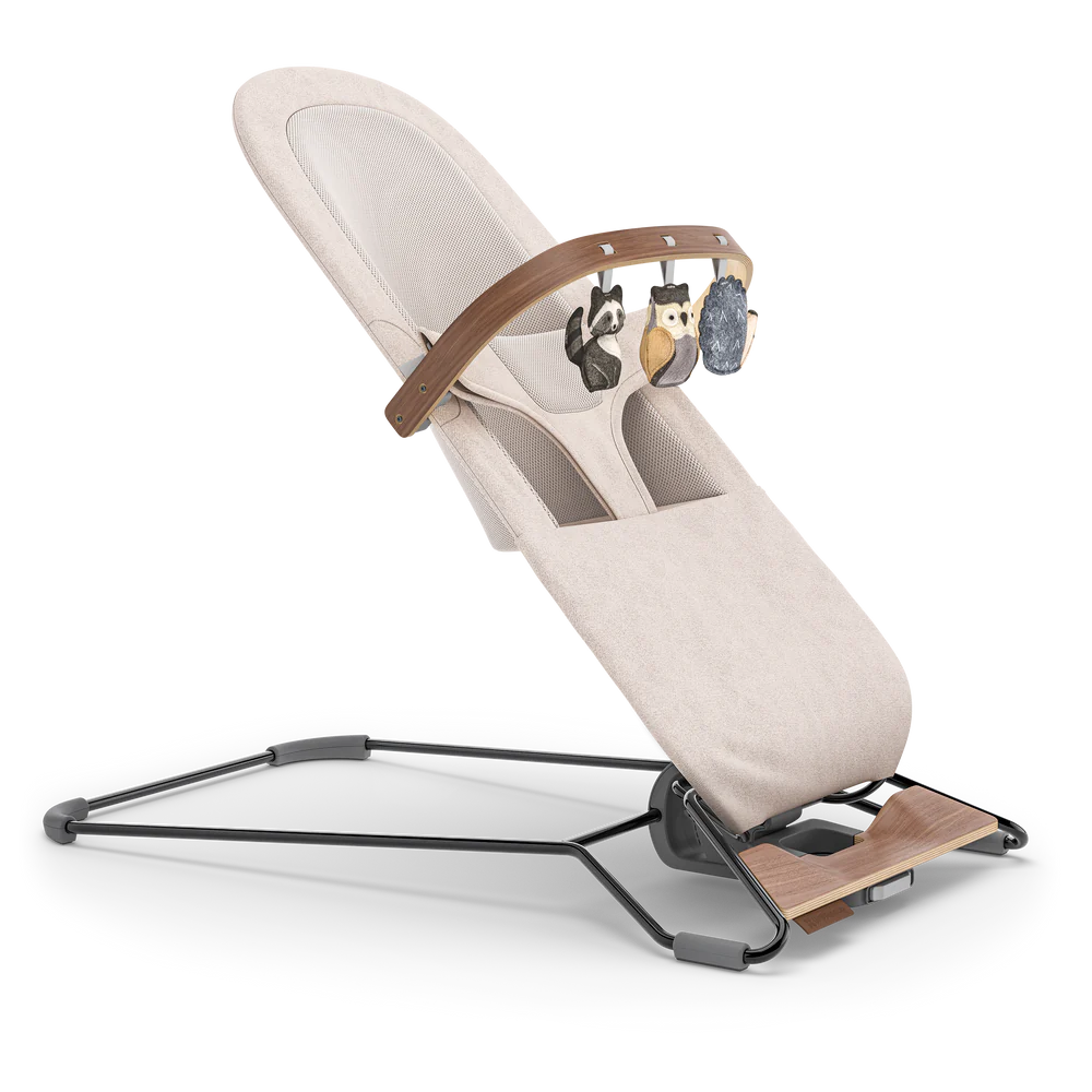 Mira 2-in-1 Bouncer and Seat - Charlie - ON BACKORDER UNTIL 5/17 (see description)
