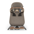 Load image into Gallery viewer, Mira 2-in-1 Bouncer and Seat - Wells
