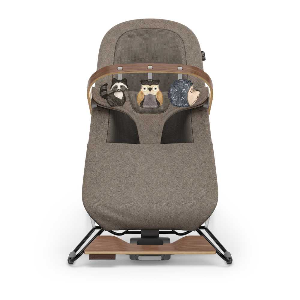 Mira 2-in-1 Bouncer and Seat - Wells