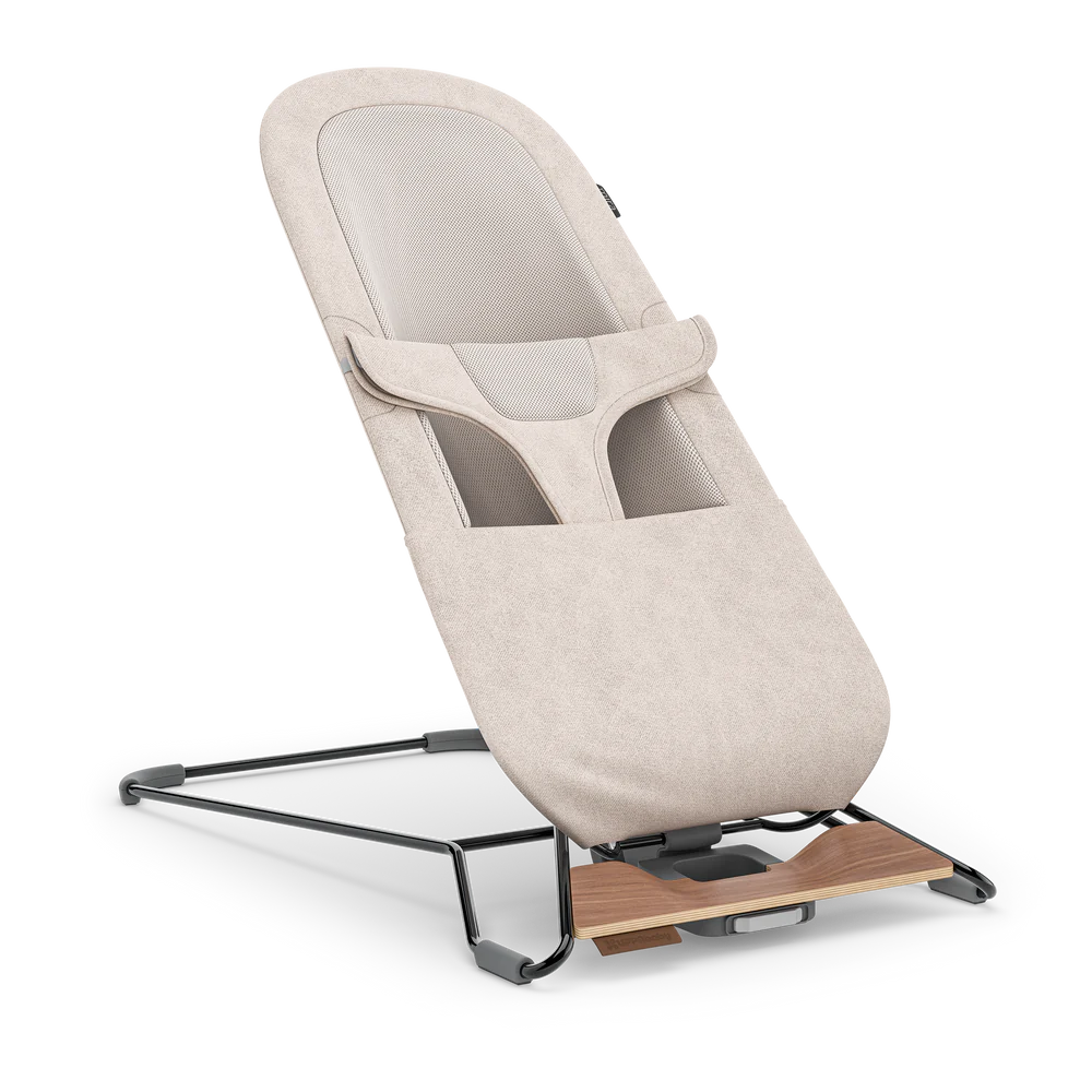 Mira 2-in-1 Bouncer and Seat - Charlie - ON BACKORDER UNTIL 5/17 (see description)