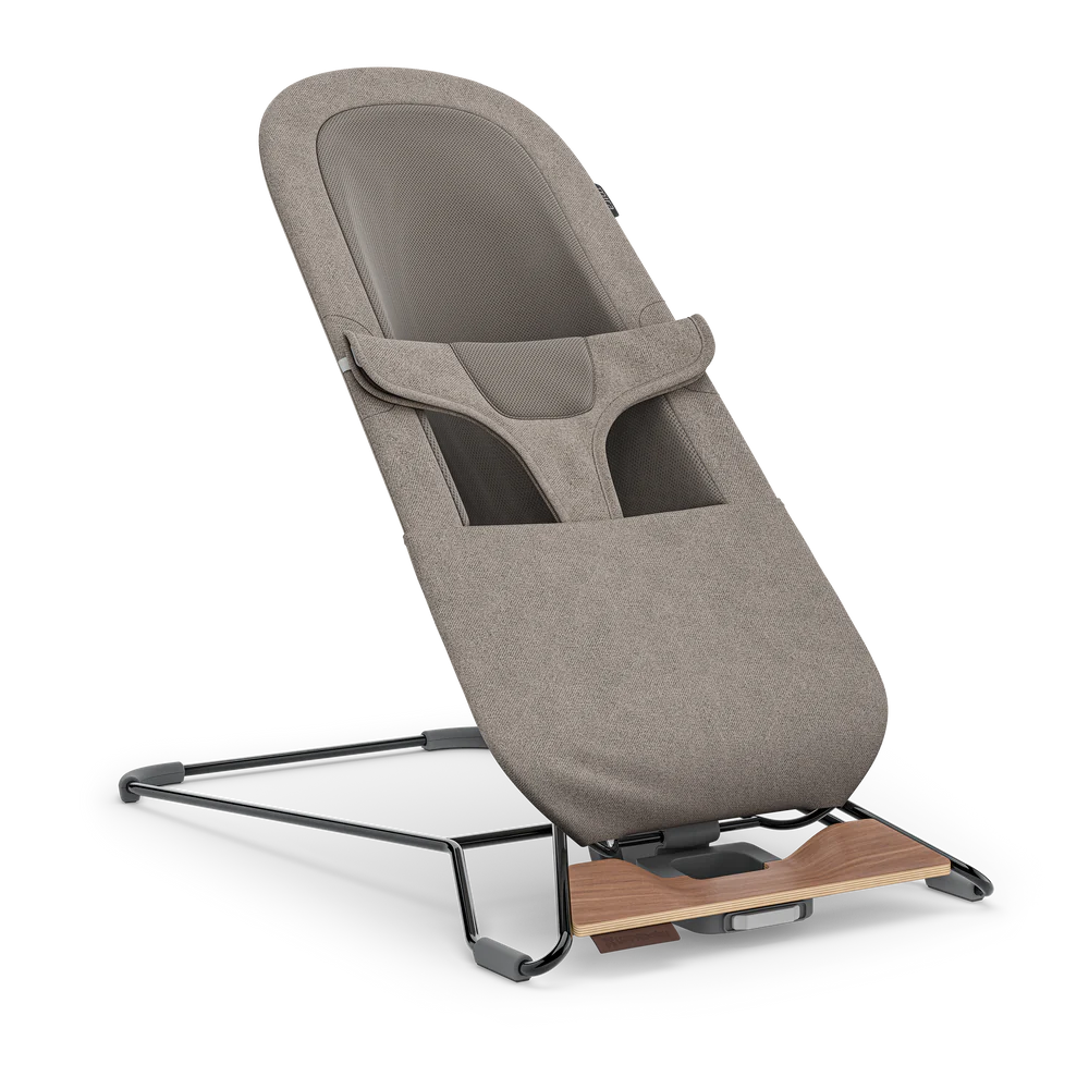 Mira 2-in-1 Bouncer and Seat - Wells