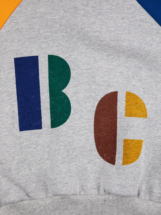 Multicolor B.C Hooded Sweatshirt - Multi