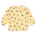 Load image into Gallery viewer, Disc Sweatshirt - Coccinella
