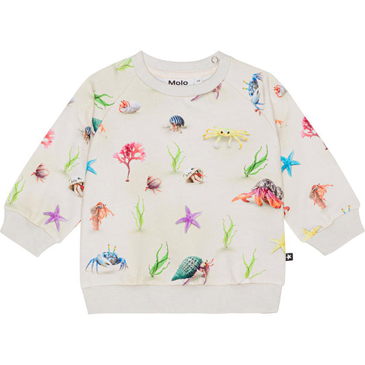 Disc Sweatshirt - Hermit Crab