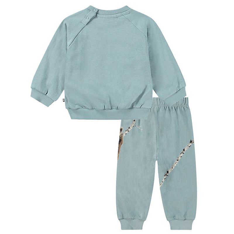 bear toddler sweat shirt and pant set