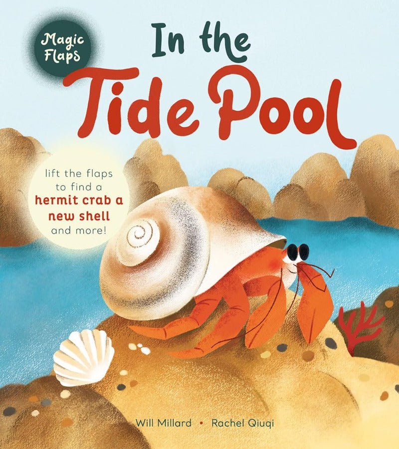 In the Tide Pool Flip Books