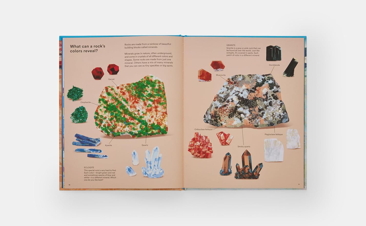 What a Rock Can Reveal Kids Book