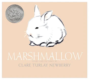 Marshmallow Bunny Kids Picture Book