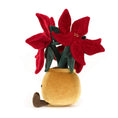 Load image into Gallery viewer, Amuseable Poinsettia
