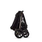 Collapsable Black and Gold stroller