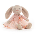 Load image into Gallery viewer, ballet bunny stuffed animal
