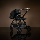 Gold handle and black stroller