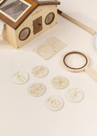 Wooden Bug Toy with Catcher Accessories 