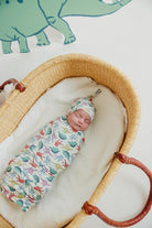 baby in matching bright dinosaur swaddle and hat 