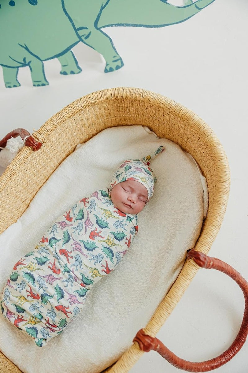 baby in matching bright dinosaur swaddle and hat 