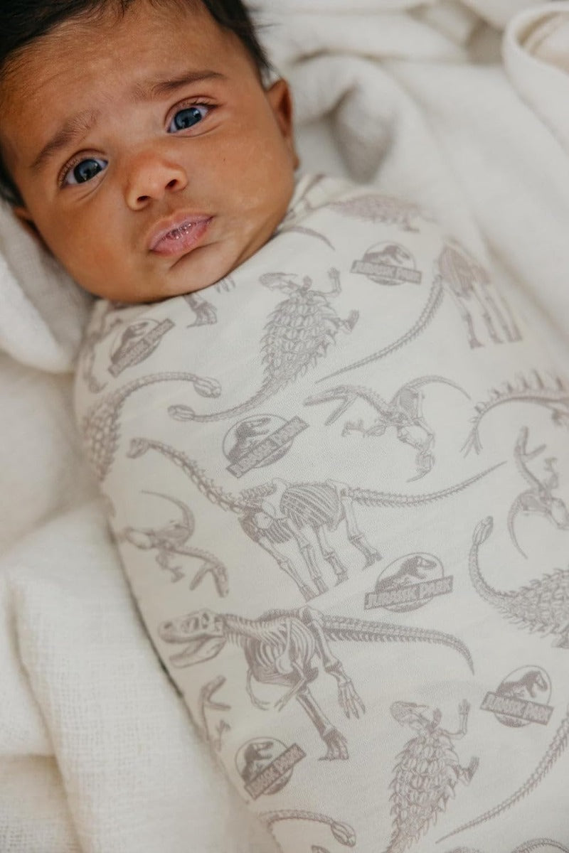 baby swaddled in dino fossil print swaddle