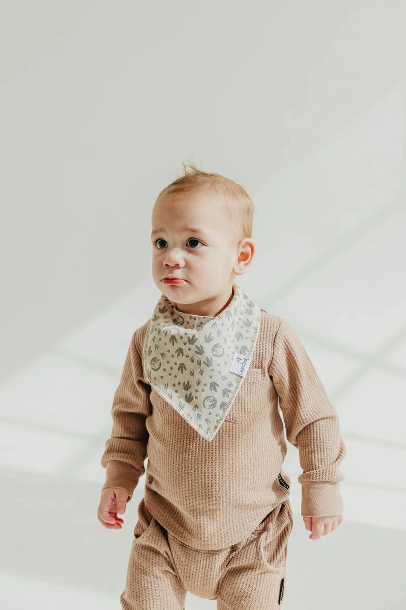 bandana bib with dino footprint pattern 