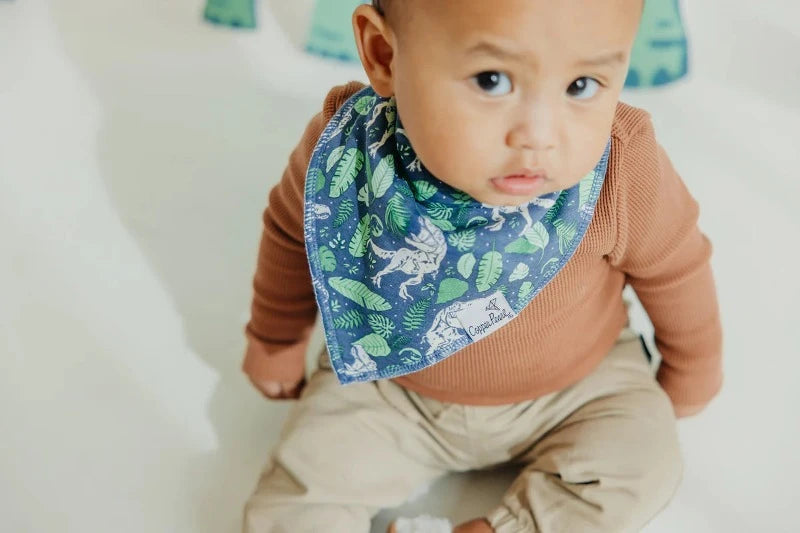 blue bandana bib with dinos and leaf print 