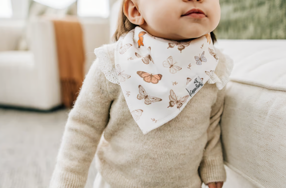 butterfly pattern bandana bib