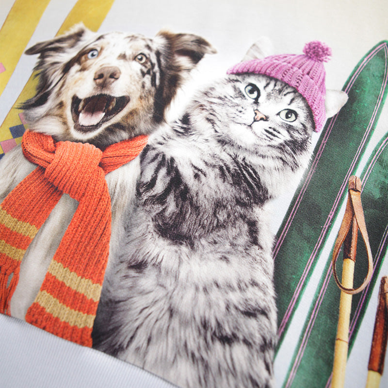 Cat wearing a pink knitted hat and orange scarf next to a dog on a colorful background