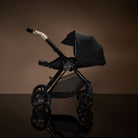Modern Black and gold stroller