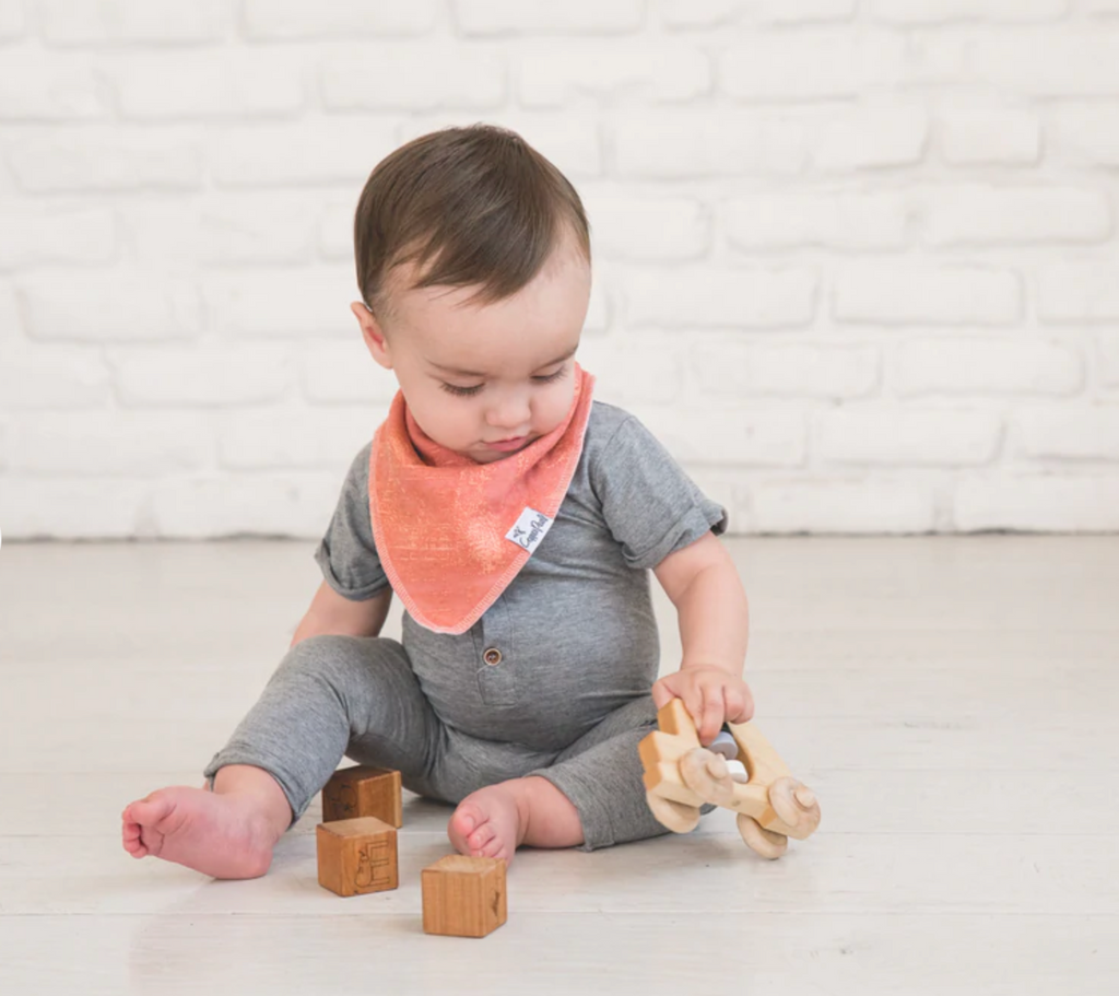 Bandana Bib Set (4 Pack) - Bison