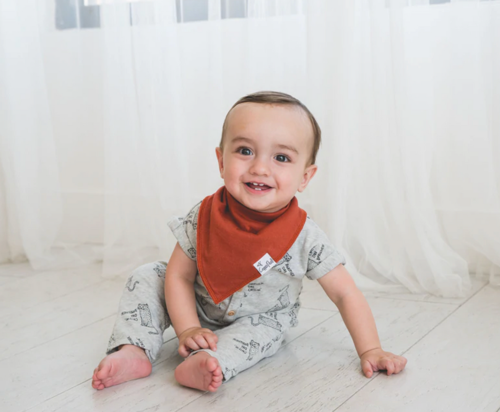 Bandana Bib Set (4 Pack) - Ridge