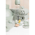 Load image into Gallery viewer, BIBS Baby Glass Bottle - Complete Set 8 Ounce - Sage Baby Essentials Bibs 

