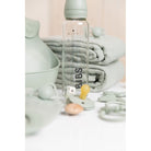 BIBS Baby Glass Bottle - Complete Set 8 Ounce - Sage Baby Essentials Bibs 