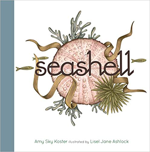 Seashell Books Chronicle Books 