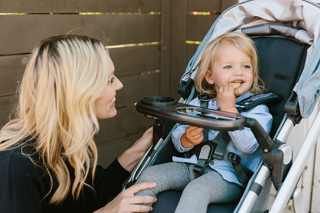 Snack Tray for VISTA + CRUZ Gear UPPAbaby 