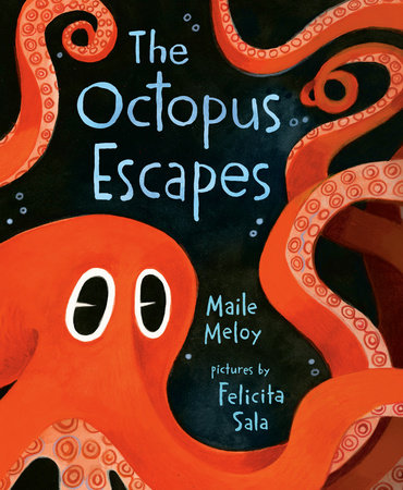 The Octopus Escapes Books Penguin Random House 