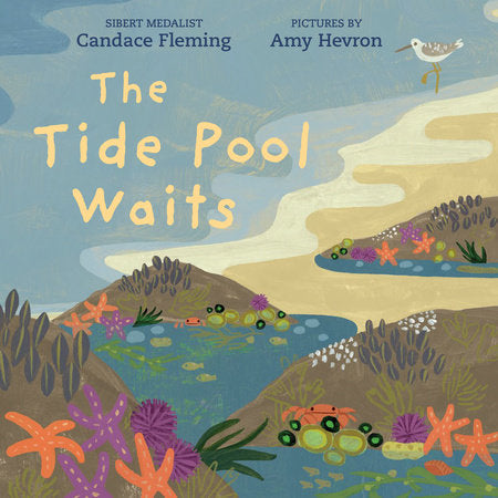 The Tide Pool Waits Books Penguin Random House 